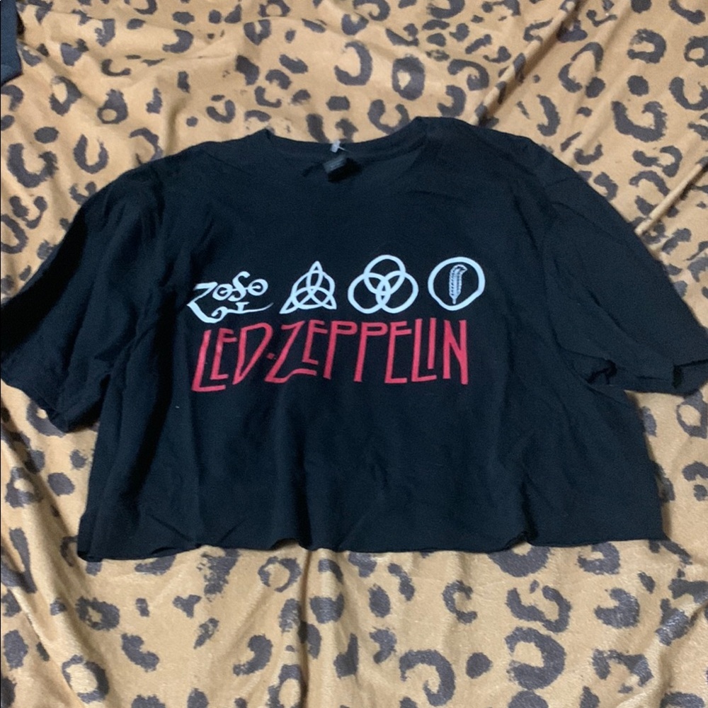 Led Zeppelin Black Graphic crop